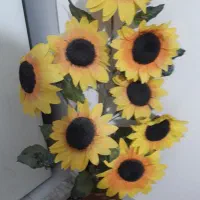 ۸شاخه آفتابگردان باگلدان