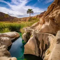 تور کویر طبس