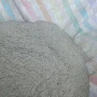 گزو کردستان