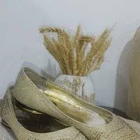 تعدادی کفش مجلسی شیک|کیف، کفش، کمربند|تربت جام, جامی|دیوار