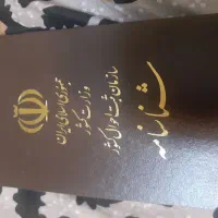 شناسنامه،گمشده