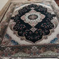 فرش|فرش|دورود, |دیوار