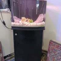 آکواریوم حرفه ای با لوازم کامل و میز