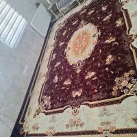 فرش ۱۲متری تمیز|فرش|اراک, |دیوار