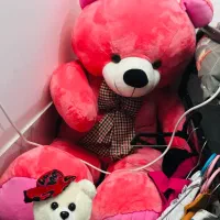 خرس بزرگ ولنتاین دومتری