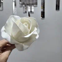 رز سفید|گل مصنوعی|اردبیل, |دیوار
