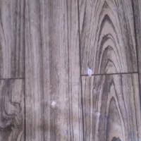 کف پوش|فرش|کرمانشاه, |دیوار