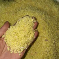 همکار خانم ادمین پیج و تولید محتوا