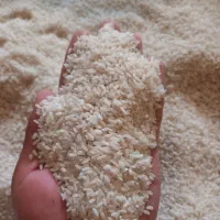 برنج سوسن|خوردنی و آشامیدنی|ایذه, |دیوار