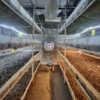 واگذاری-و-مشارکت-سالن-قارچ