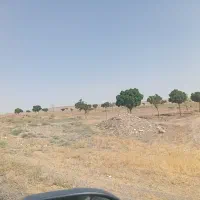تک-برگ-شش-دانگ-200-متر-دوبحر