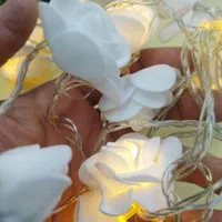 ریسه ال ای دی گلدار|ریسه و چراغ تزئینی|قم, باغ شریفی|دیوار