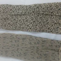 شال به قیمت عمده|لباس|شیراز, گویم|دیوار