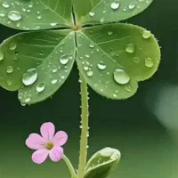 آپارتمان ۱۳۰متری،سرمعلم،پاسداران|اجارهٔ آپارتمان|سبزوار, پاسداران|دیوار