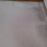 پالاز موکت تمیز و نو.