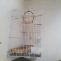 قفس پرنده