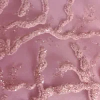 پیراهن مجلسی در حد|لباس|مراغه, |دیوار