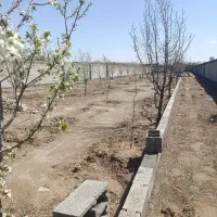 فروش-باغ-به-متراژ-500متر