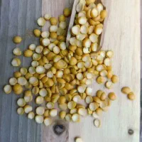 لپه آذر شهر درجه یک به شرط پخت