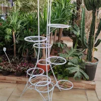 استند فلزی و چوب فلز|گل و گیاه طبیعی|کرمان, |دیوار