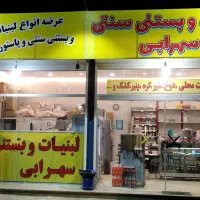 فروشنده خانم لبنیات بستنی