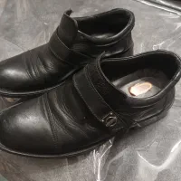 کفش مردانه|کیف، کفش، کمربند|دلیجان, |دیوار