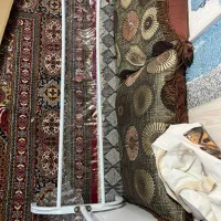 رگال|بندرخت و رختآویز|قشم, |دیوار