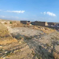 زمین-ناچیت