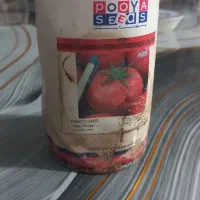 نهال گوجه|گل و گیاه طبیعی|گرمخان, |دیوار