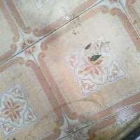 کارگرساده