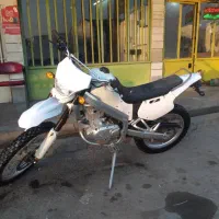 تریل مزایده امیکو ۱۸۶