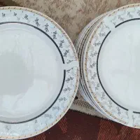 ۱۸عدد پلوخوری