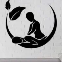 تخت پرتابل ،سیار ماسیس