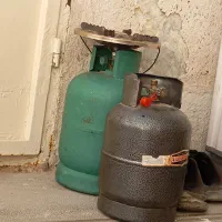 پیکنیک سالم نو