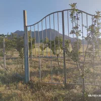 زمین-باغی