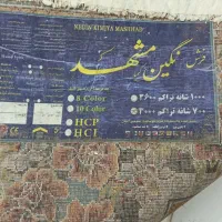 فرش ۱۲ متری|فرش|مشهد, طبرسی شمالی|دیوار