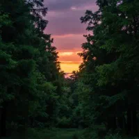 هدیه رایگان بلو