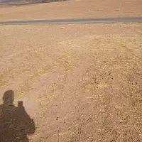 زمین باغ ویلا ومخصوص طرح گل خانه|فروش دفتر صنعتی، کشاورزی، تجاری|خرم‌آباد, |دیوار