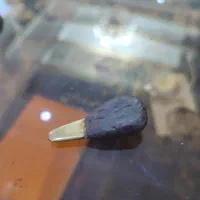 تار قلندر|سازهای سنتی|تهران, نازی‌آباد|دیوار