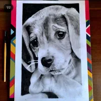 طراحی سیاه قلم چهره و حیوانات(مشهد/گلبهار)|تابلو، نقاشی، عکس|گلبهار, شهر جدید گلبهار|دیوار