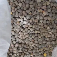 گرگرو‌درجه‌یک