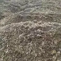 ۱۰۰ تن کود مرغ ارسال به کل استان