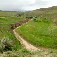 فروش زمین کشاورزی 50000 متر|فروش دفتر صنعتی، کشاورزی، تجاری|خواجه, |دیوار