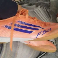 کفش سالنی|کیف، کفش، کمربند|فشاپویه, |دیوار