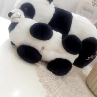 ۲عدد خرس پاندا نو|اسباب‌‌بازی|رشت, فلسطین|دیوار