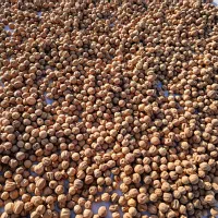 لیمو خشک خارجی|خوردنی و آشامیدنی|تهران, مولوی|دیوار