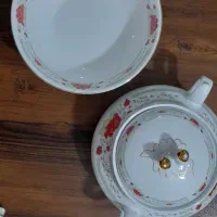 ظروف پذیرایی