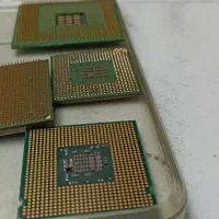 جویندگان طلا