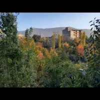 ویلای دربست امکانات کامل لواسان ویو جنگلی بی نظیر