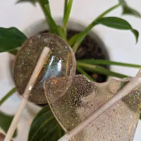 آبنبات شاین دار